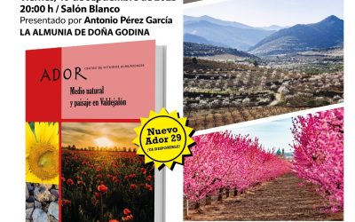 Cartel_ADOR_29